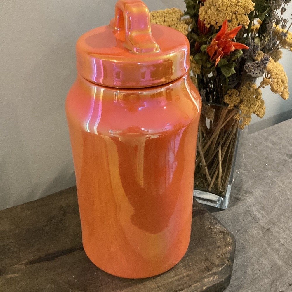 Rae Dunn BUGS AND HISSES Halloween Canister in Orange Iridescent Luster Jar 👻🎃 - Picture 6 of 11